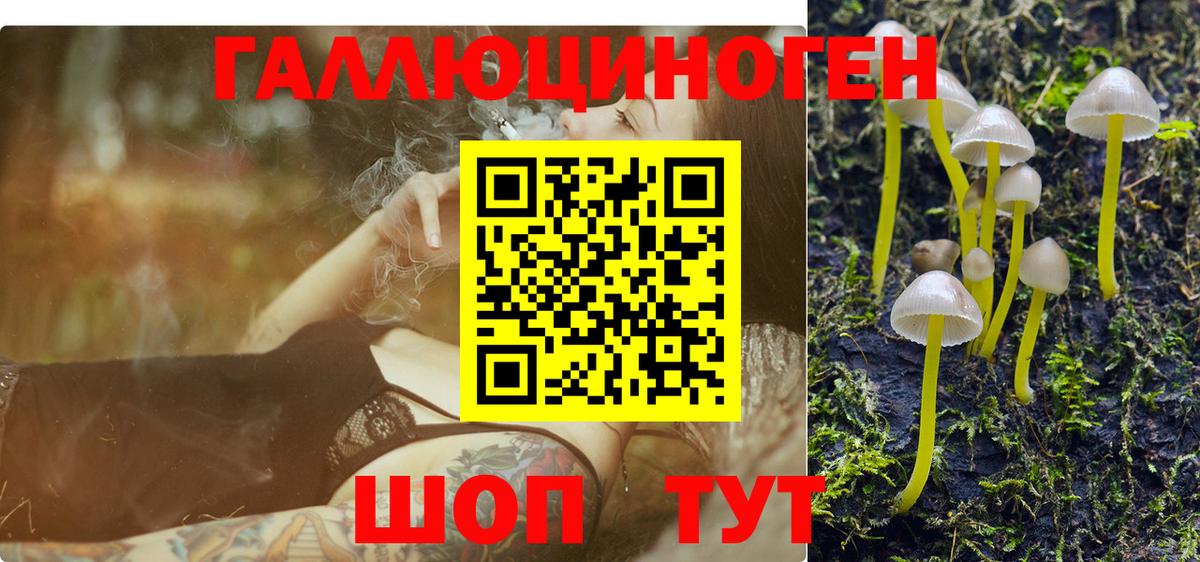 Псилоцибиновые грибы мухоморы Лесозаводск