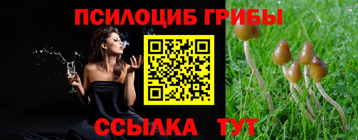 где продают   Вход с VPN  Лесозаводск  Галлюциногенные грибы GOLDEN TEACHER 